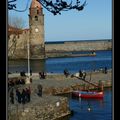 Collioure (66)