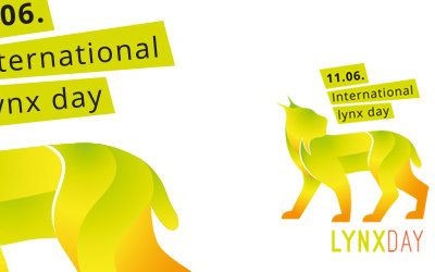 LYNX DAY : journée internationale du lynx 11 juin