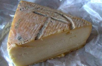 Le Taleggio