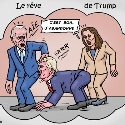 Le rêve de Trump !