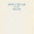 Dans l'éclair d'une truite de Lucienne Desnoues.