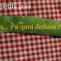 LA gousse de petits pois