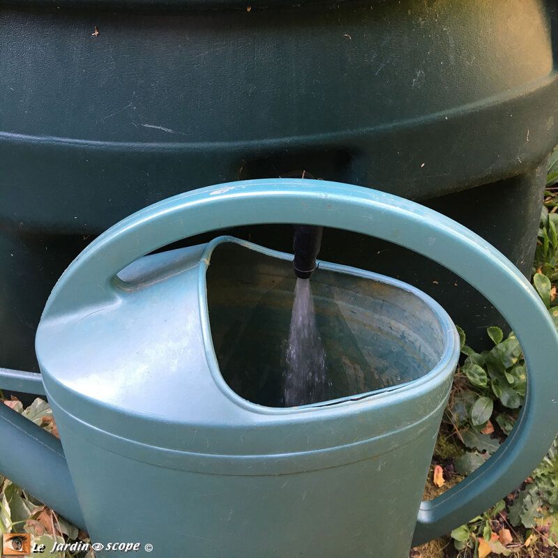 Récupérateur d'eau de pluie et arrosoir