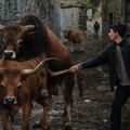 Volta A Terra- : un beau documentaire portugais et une belle ode au monde paysan!!