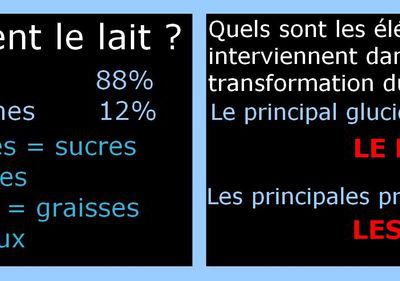 Du lait au yaourt : pourquoi le lait épaissit-il ?