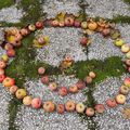 La Fête de la pomme et du développement durable au Landry à Rennes le 20 octobre 2019 (4)