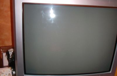 Télévision qui fait tnt (50€)