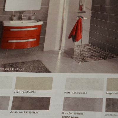 Rénovation de la salle de bain de l'appartement !