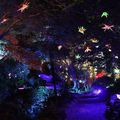 Gardens Magic / concert Claude Rains