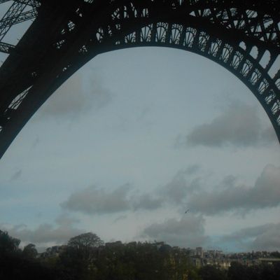 2 novembre 2013 ¤ Tour Eiffel