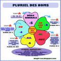 Français - Grammaire : pluriel des noms et des adjectifs en s ou x ou z