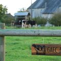 Une année à la ferme # 25 - Septembre 2011