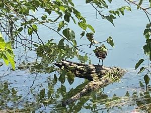 De la nature avant tout