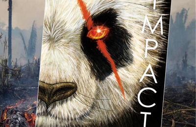 Impact, d'Olivier Norek et Fred Pontarolo