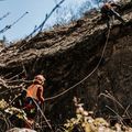 Travaux 2024 en Occitanie : 555 M€, multiples chantiers de rénovation de voie mais seules deux massifications par trains usines