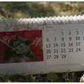 Calendrier de Bureau 15 euros Port Compris