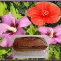 Cake aux fleurs d'hibiscus/Keks z kwiatów hibiskusa