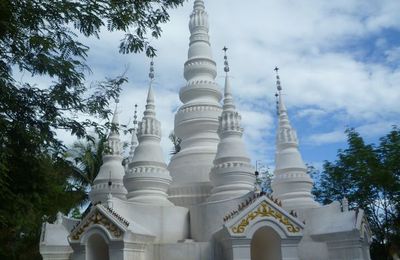 Quatrième jour : Xishuangbanna