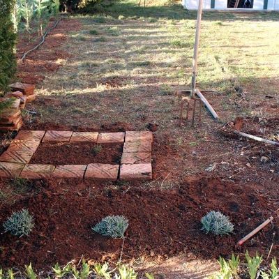 Le jardin d'herbes aromatiques