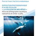 Exposition photographique juillet 2021