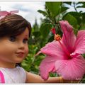 Grace, l'hibiscus et l'écureuil roux - Grace, hibiscus and red squirrel