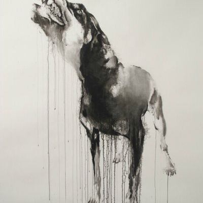 Animal / Collective exhibition