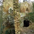 Ruine du château de "Fayen bois".
