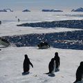 Au bout de la glace