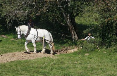 Franche Comté : Terre de Trait (le récit - épisode 4 (The end!))