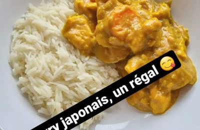 Objectif 1 recette par mois / recette de janvier