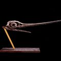 THEATRUM MUNDI, Stand 120b at BRAFA, 26 janvier-2 février 2020