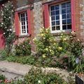 A Gerberoy, des roses, des roses.... et des roses !