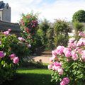  La roseraie Jean Dupont à Orléans, écrin des roses orléanaises...