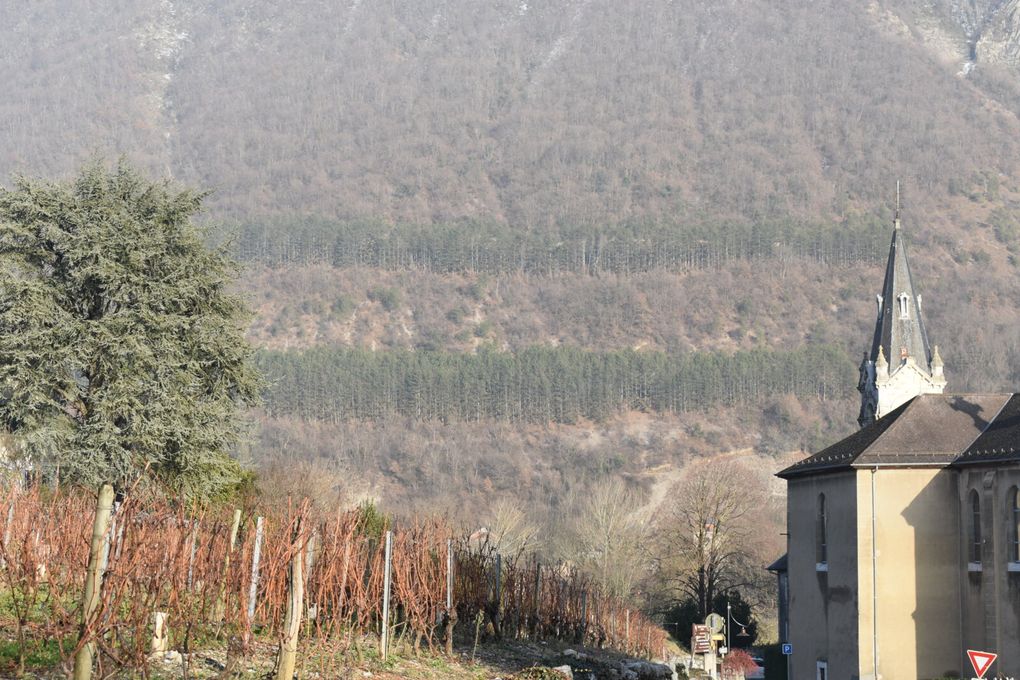 Balade dans les vignes de Chignin (73)