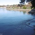 Une balade le long de la Baie de Txingudi à HENDAYE (64), le 17 février (suite)...