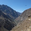 Trek dans le Canyon Del Colca