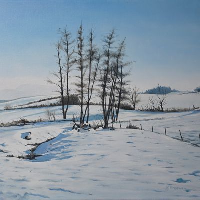 Sonthonnax (01), l'hiver dans le Haut-Bugey