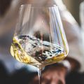 Le vin blanc qui vieillit bien : conseils et indices de dégustation optimale