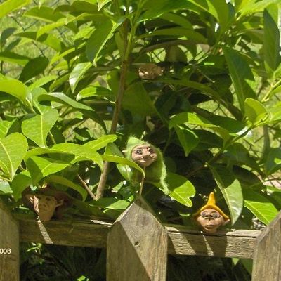 Retour du soleil, sortie de têtes...