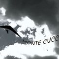 MONTE CUCCO 2011 