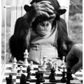 Le succès, c'est se promener d'échecs en échecs tout en restant motivé. Winston Churchill