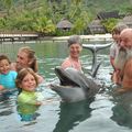Dolphin quest