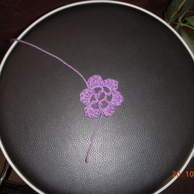 pour une petite fleur 