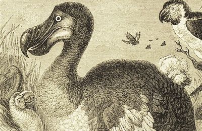 LIVRE : L'Arche Titanic d'Eric Chevillard - 2022