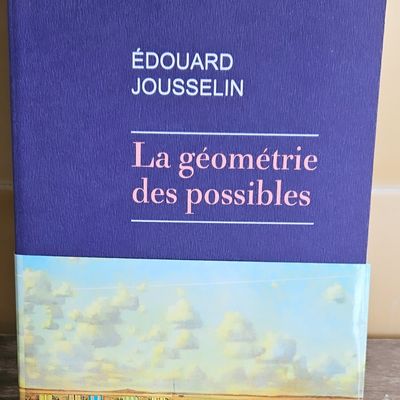 Destins: la géométrie des possibles de Edouard Jousselin