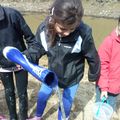 Un petit aperçu de notre après-midi pêche à pied ...dans la vase...