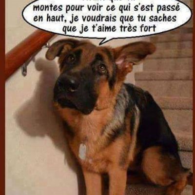 Pour re ..... commencer ..... 