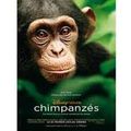 CHIMPANZES