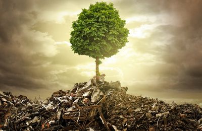 Luc Montagnier au Défi de la vérité : persiste et signe ! covid 19