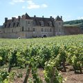 Un château dans les vignes